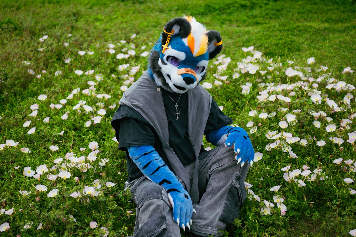 shangxingzhe1's tweet photo. #FursuitFriday https://t.co/A0Nz7NKU1g