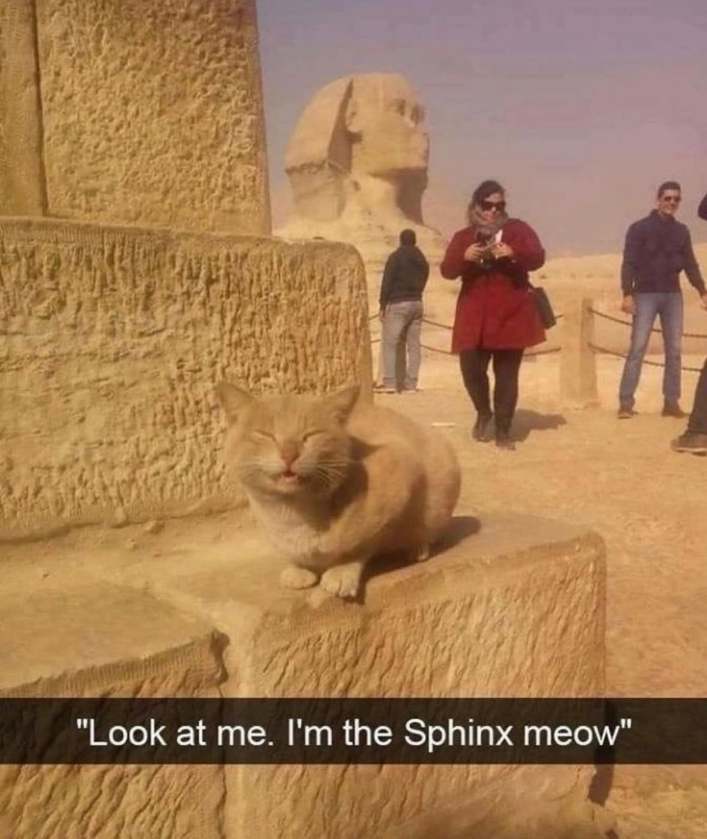 no context memes tweet media