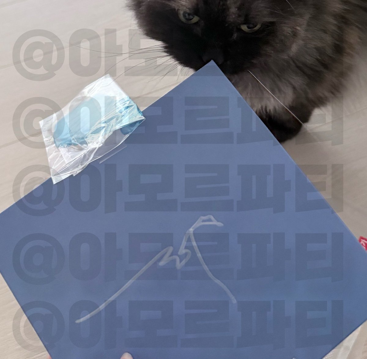 아무것도 모르는 파멸적 티오피 tweet media