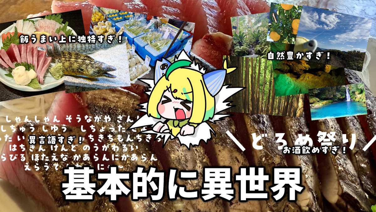 藁焼とさち🐟💨 tweet media