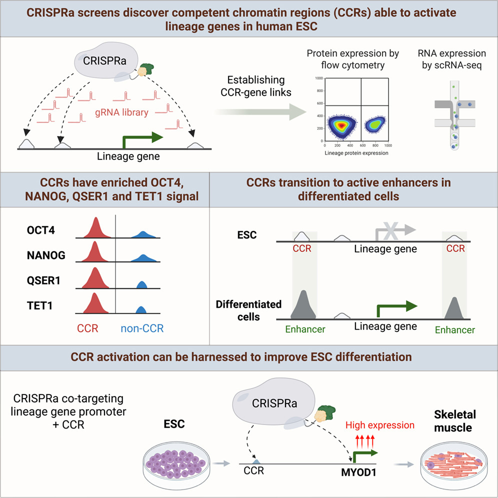 Epigenome Technologies Inc. tweet media