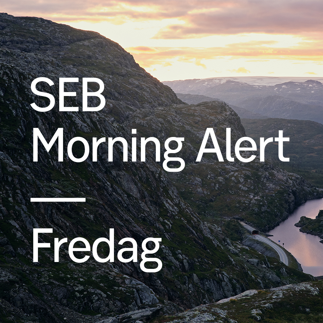 SEB tweet media