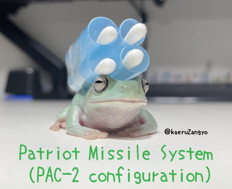 🇯🇵かえる 🇺🇸Frog (@kaeruZangyo) / Posts / X