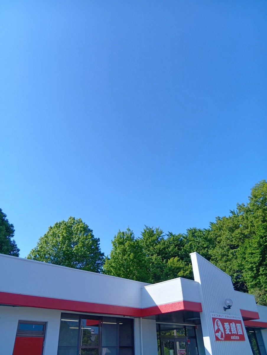 aikeien1925's tweet photo. 今日はとてもよい天気☀
空の蒼さが透けるようです！

事業所の駐車場には
かわいい、昼咲き月見草が
満開でした🌻

#イマソラ #小美玉市 #愛鶏園
#青空 https://t.co/aoAaTnNNmQ