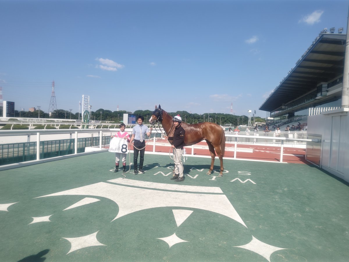 サンスポZBAT!地方競馬(サンケイスポーツ) tweet media