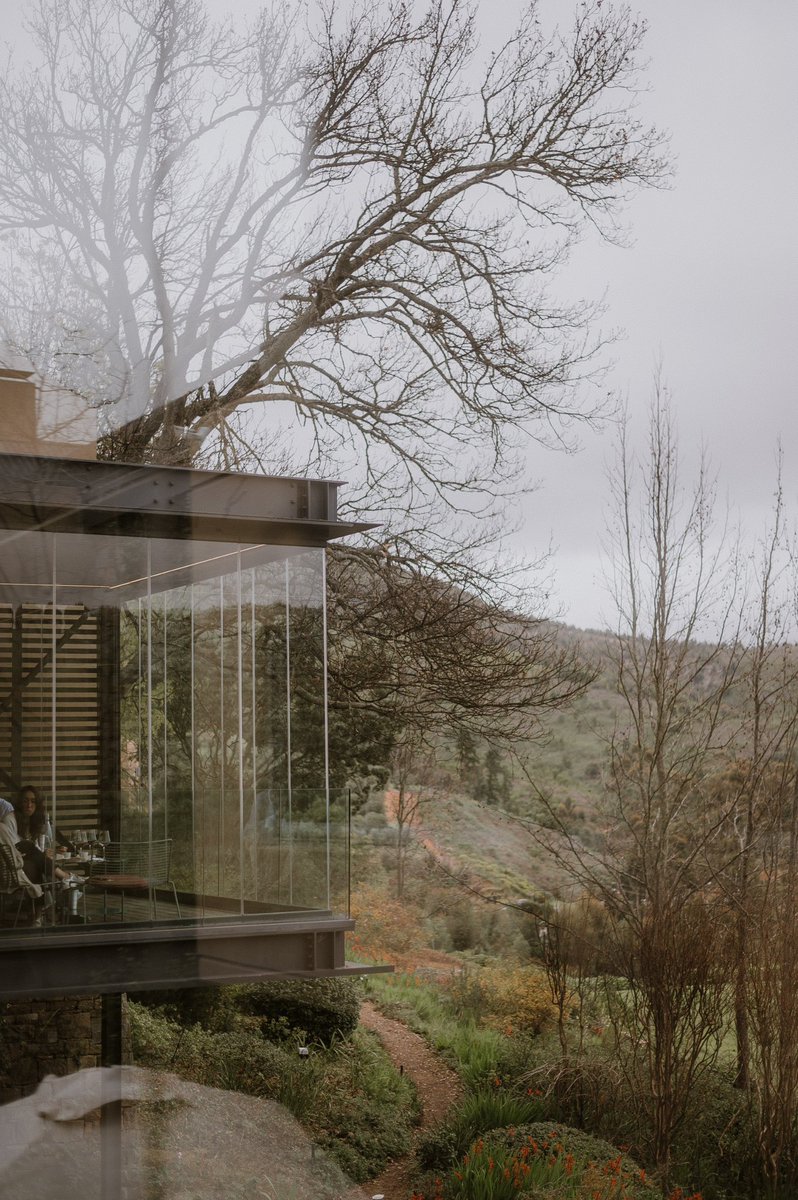 Tokara_'s tweet photo. Winter dreamland. Before lunch at Tokara Restaurant, enjoy a tasting of the award-winning Tokara wines in the adjacent tasting lounge; the perfect prelude to an epicurean journey in the mountains. https://t.co/SDqcRVf1tQ