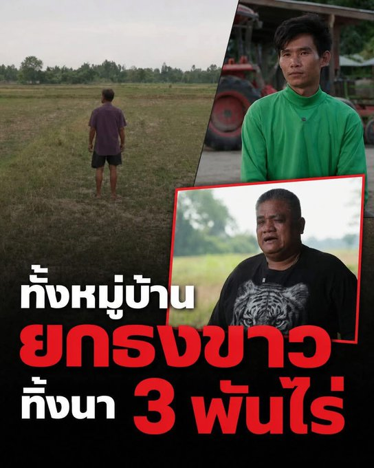 แมวเกเร tweet media