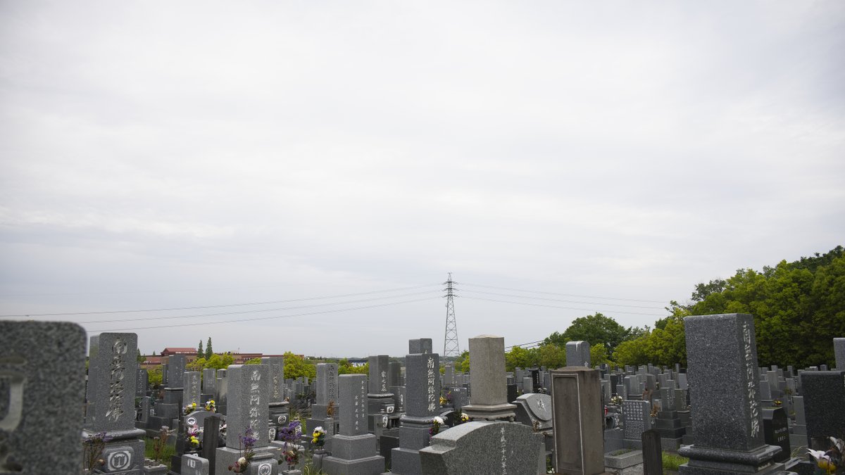 miyazaki_stone's tweet photo. 今日の一枚はこちら📷

やわらかな曇り空の下、
墓地全体が静かにひらけて見えました。
ひとつひとつのお墓を包む空気まで、穏やかに感じられる一枚です。🕊️

#お墓参り https://t.co/EcI2mC5cpW