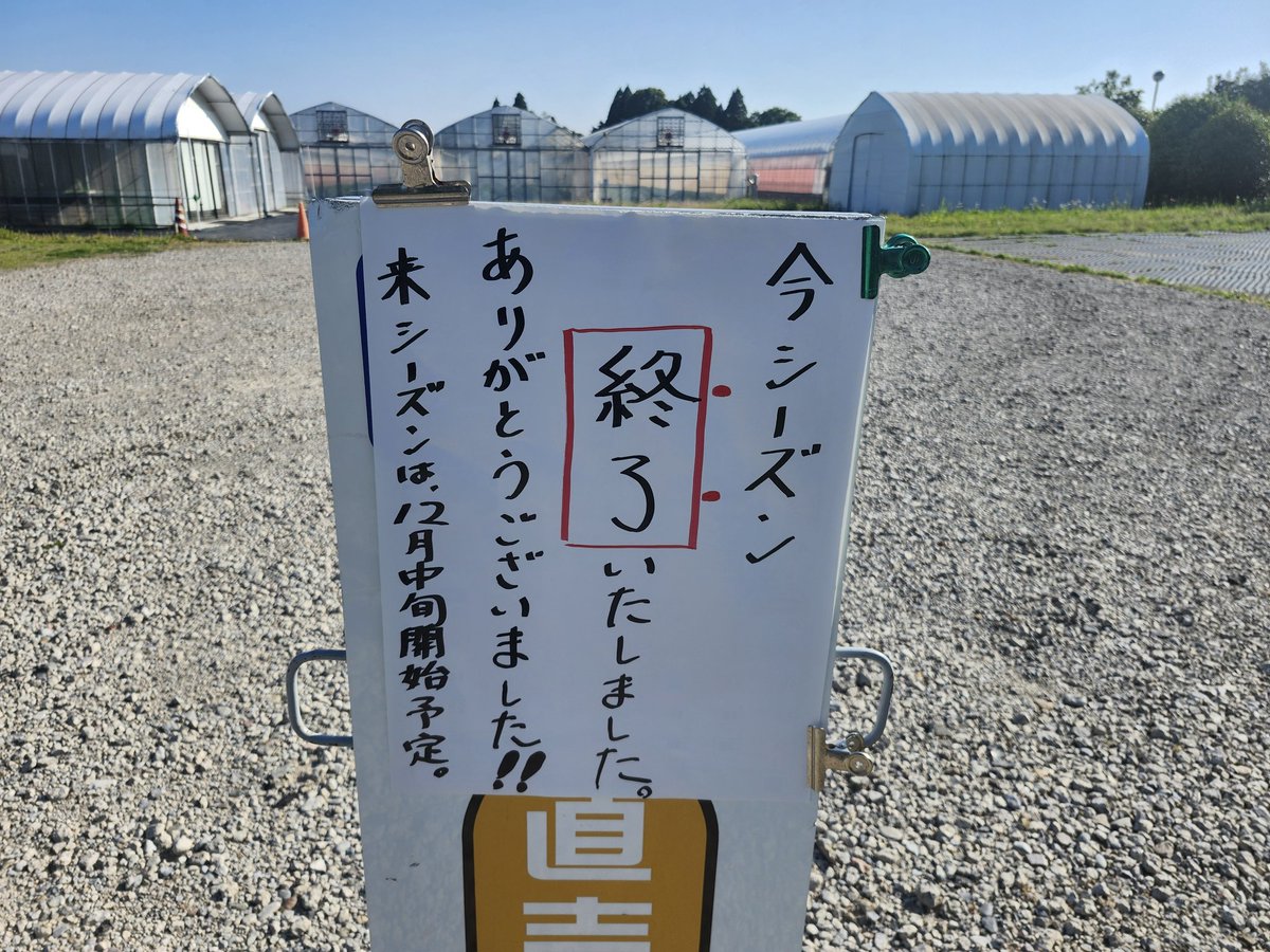 ibachan15's tweet photo. 本日(5/15)、完売いたしました。ありがとうございました！

本日をもちまして、2025-26シーズン終了となります。

今シーズンも大変多くのお客さまにご来園いただきました！改めて御礼申し上げます。

来シーズンに向けて、引き続き、精進して参ります！

#茂原
#いちご
#いばちゃんちのいちご園 https://t.co/j2FrFPNEWJ