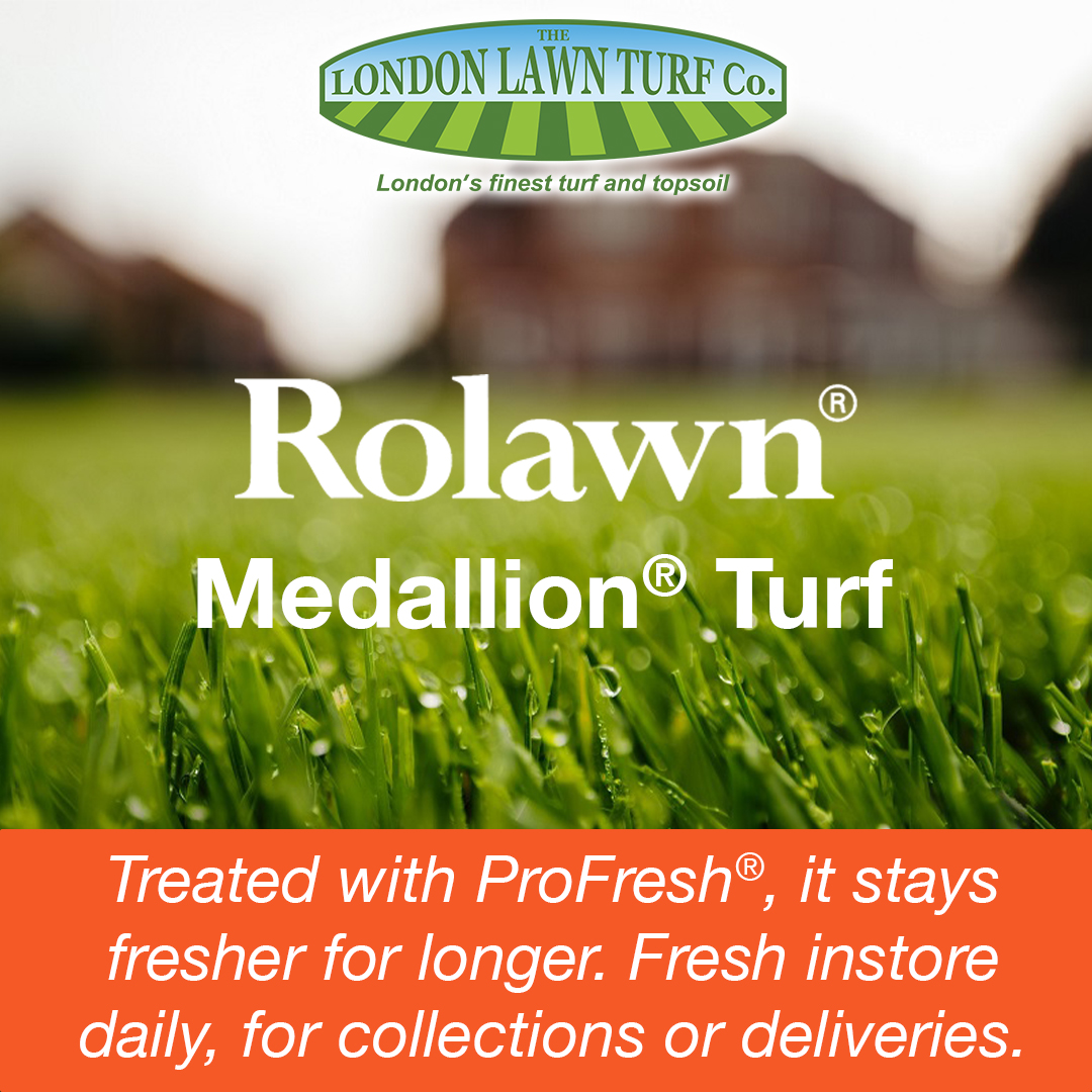 LondonLawnTurf's tweet photo. Refresh with @rolawn Medallion® Turf—durable, low-maintenance fescue &amp; ryegrass. ProFresh = longer shelf life, fresher results.

Shop:  https://t.co/X19WP95YT7 
Call: 01959897603 

 #Rolawn #LLTC #LondonLawnTurf #Landscaping https://t.co/O8CL9u8L9s