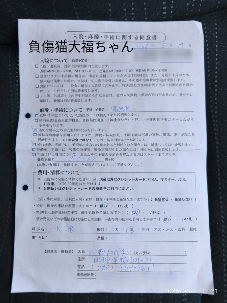 譲渡型保護ハウス日向ぼっこ　小野加代子 tweet media