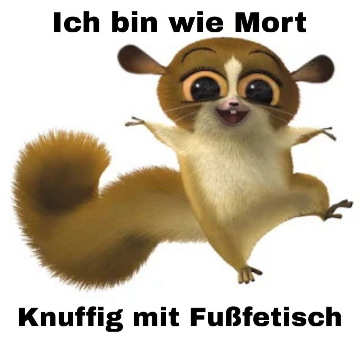 Der Allerechte tweet media