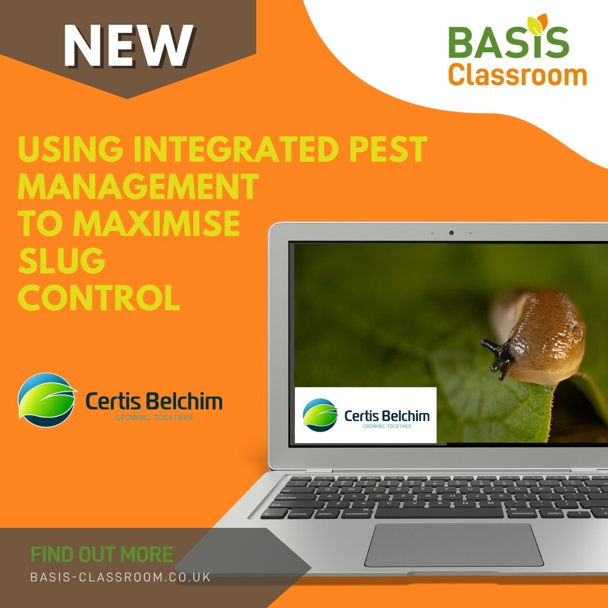 BASIS Reg Ltd (@BASISRegLtd) / Posts / X