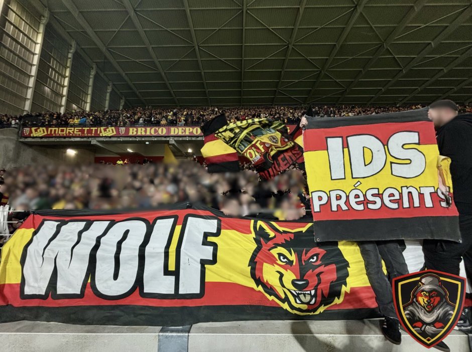 WOLF 17 🐺 tweet media