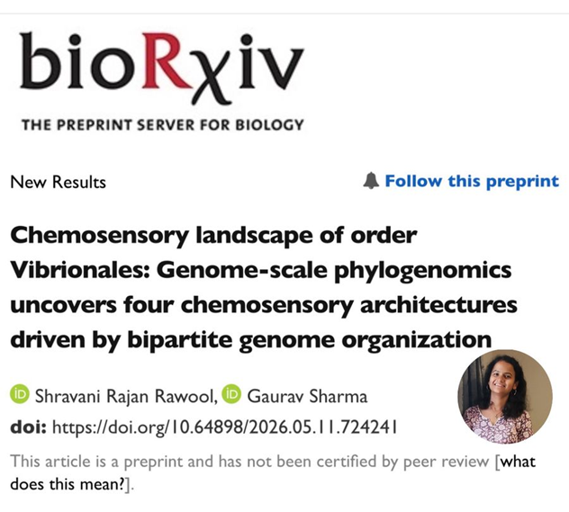 sharmaG30's tweet photo. Happy to share Shravani's work on the chemosensory systems across Vibrionales! Preprint: https://t.co/GvmYzBO7QJ
By analyzing ~10K genomes of Vibrio cousins, we identify a novel chemosensory lineage (F8) &amp; reveal how multipartite Vibrio genomes drive sensory &amp; niche adaptation. https://t.co/aQrZmRUeyp