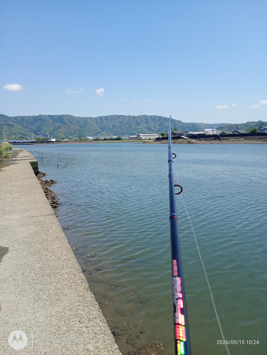 omramのきまぐれ日記 tweet media