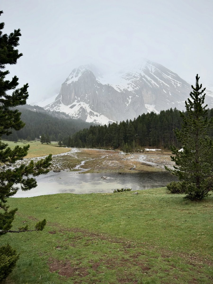 Huesca_LaMagia's tweet photo. ⛰️ El Pirineo tiene muchas caras. Esta es la más salvaje 💚 Ibón de Plan

Nieve que aún resiste en la ladera, pinos centenarios y el sonido del agua corriendo entre las piedras.

Fotos gracias a https://t.co/15kyo1eeSm https://t.co/1ardEl1bm9