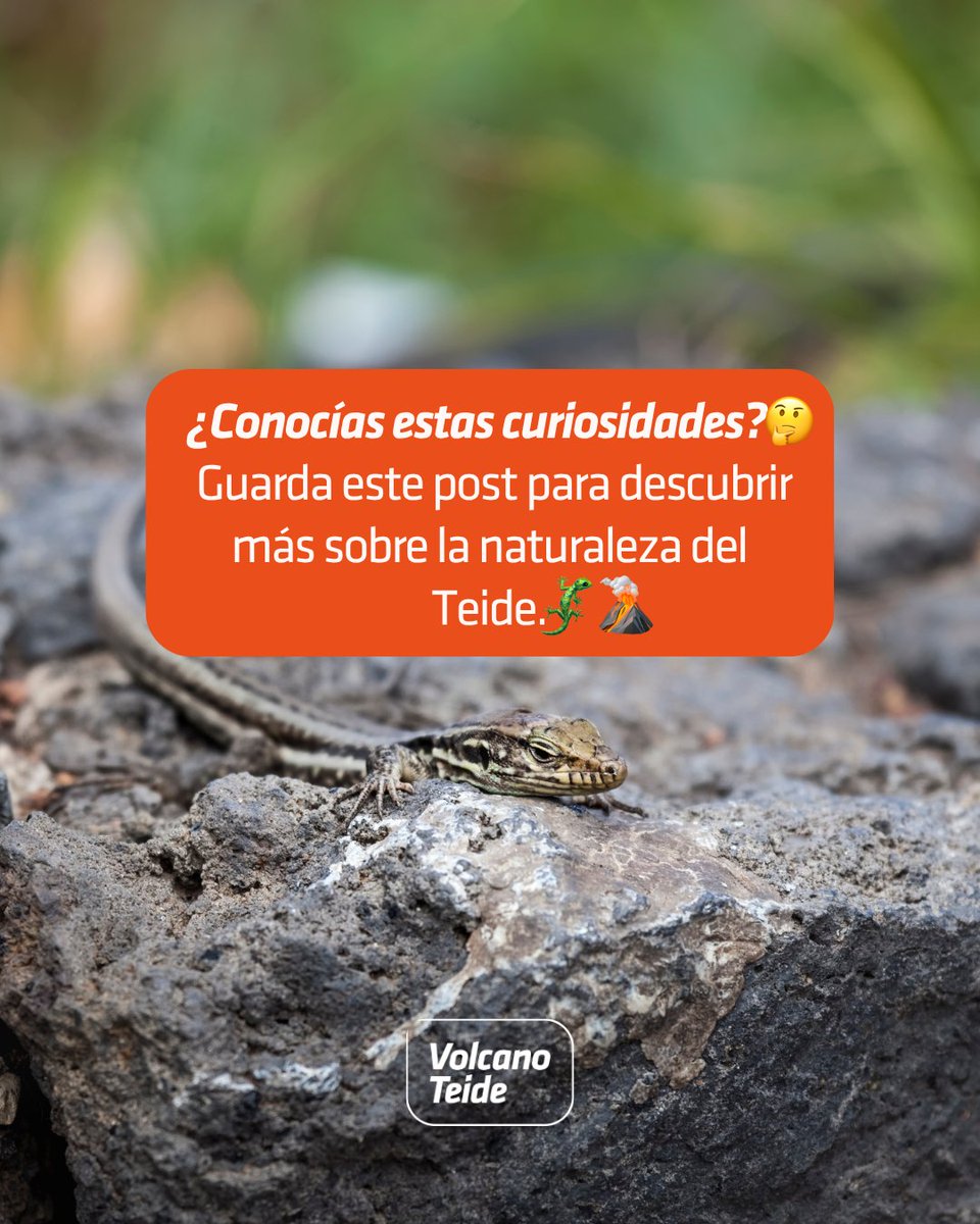 Volcano Teide tweet media