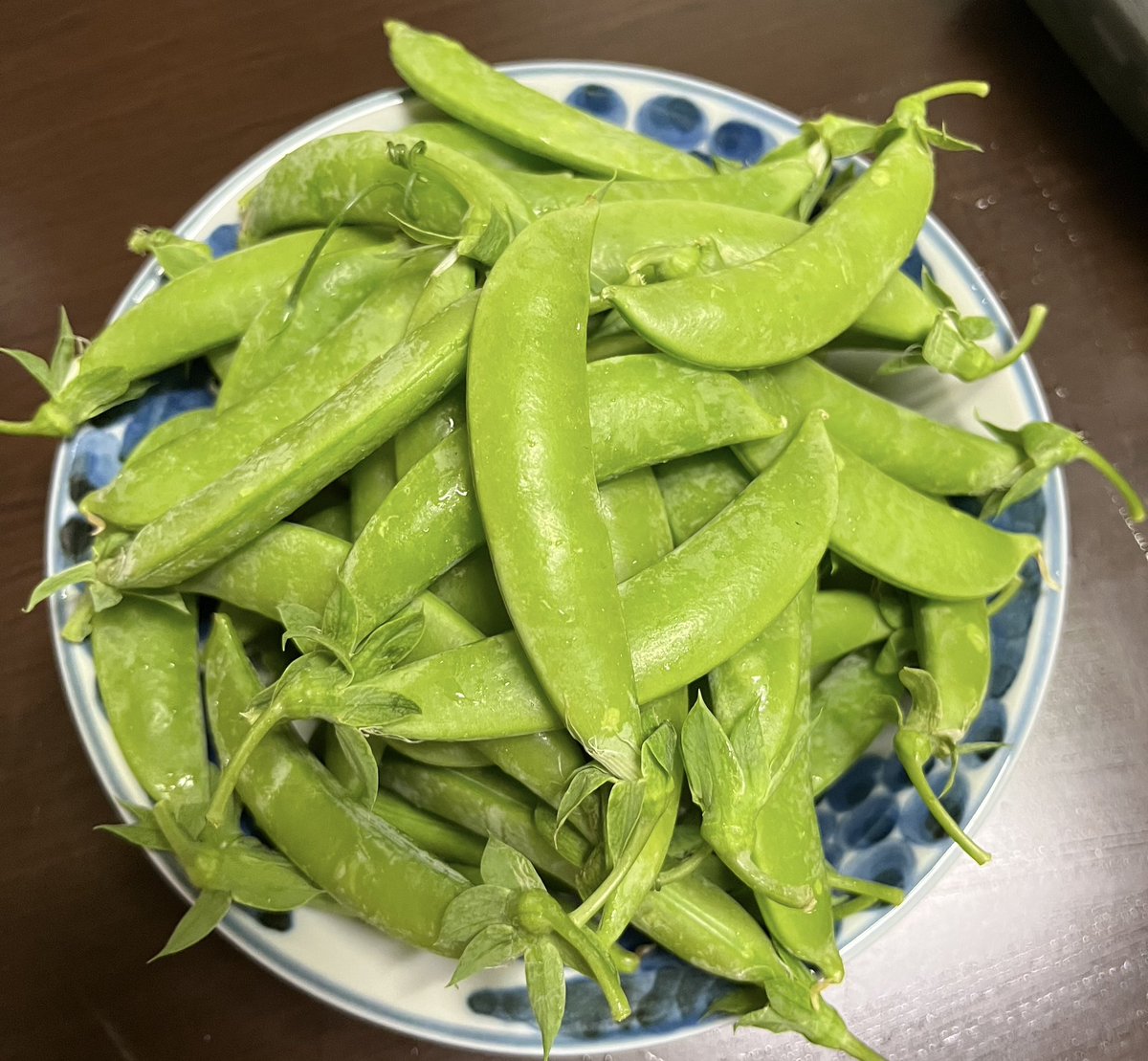 塩乃華織 tweet media