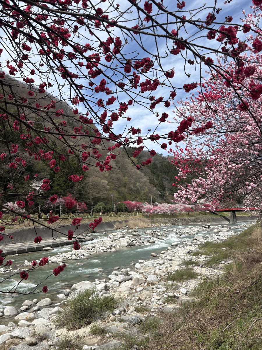 Blooming For Someone tweet media