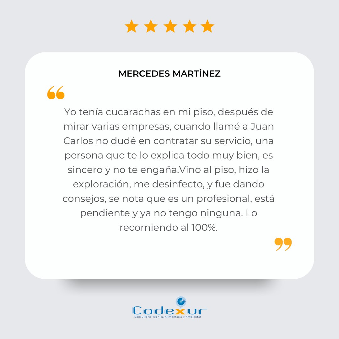 codexur's tweet photo. ¡Muchas gracias Mercedes por la confianza! Siempre estaremos para lo que necesites 🥰 https://t.co/OmBbGPxkwn