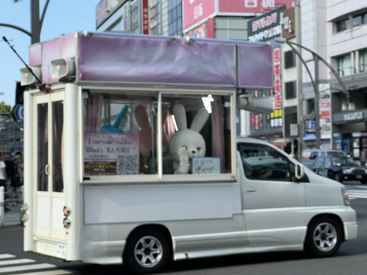 ぶらうにー tweet media