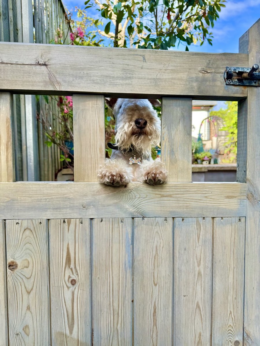 Bertie Lakeland tweet media