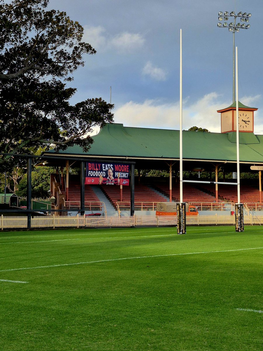 North Sydney Bears tweet media