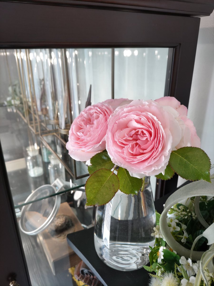 masakiamsei's tweet photo. 続々咲いてくれるので花瓶をサイズアップしました🌹 https://t.co/gZLTXDfiOz