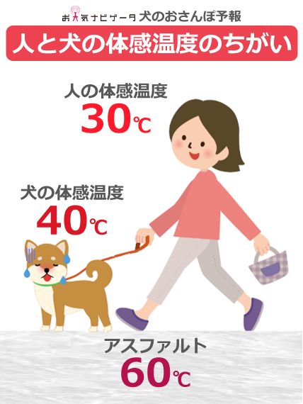 犬のおさんぽ予報【肉球を守ろう】 tweet media