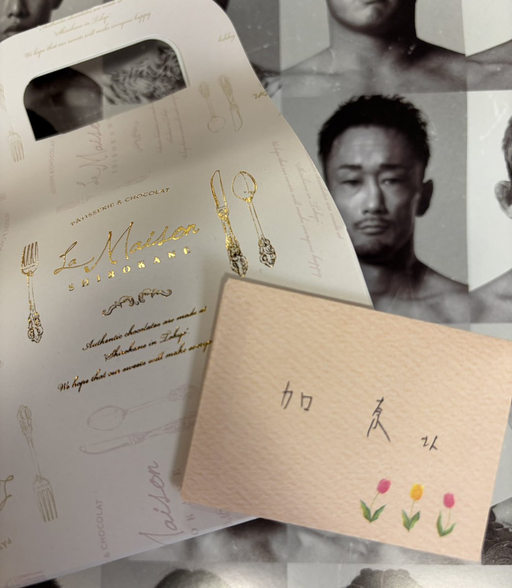 RIZIN FF OFFICIAL (@rizin_PR) / Posts / X