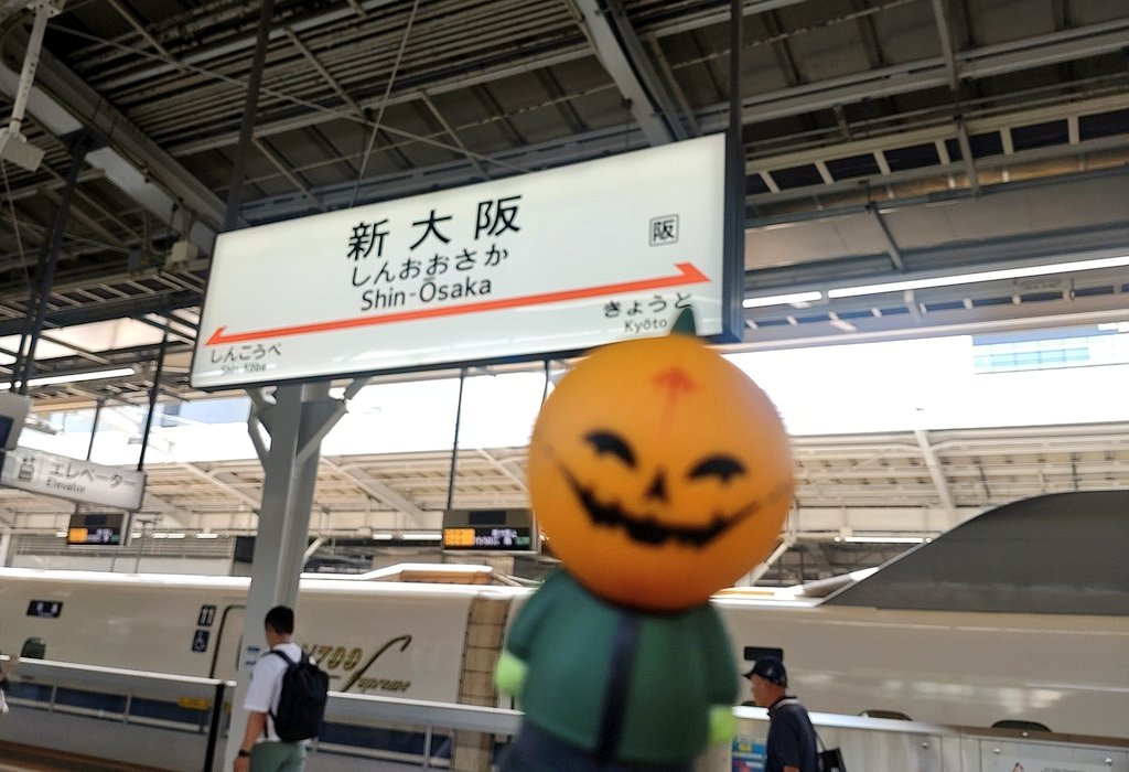 かれん𓉢 tweet media