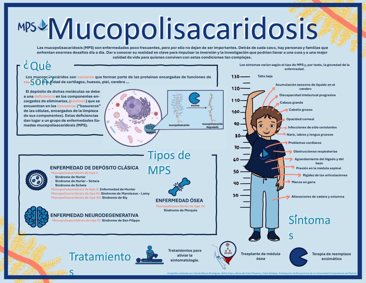 NoInvisibles's tweet photo. Es #DiaMundialMPS #MPSDay #MPSAwarenessDay 
#YaEsHora que los bebés sean diagnosticados al nacer‼️
Establezcamos programas de detección temprana para diagnosticar #Mucopolisacaridosis #MPS en recién nacidos, para una intervención precoz.
Info @MPSpapas👇
https://t.co/hRJPqxLPlJ https://t.co/79XImoL7AH