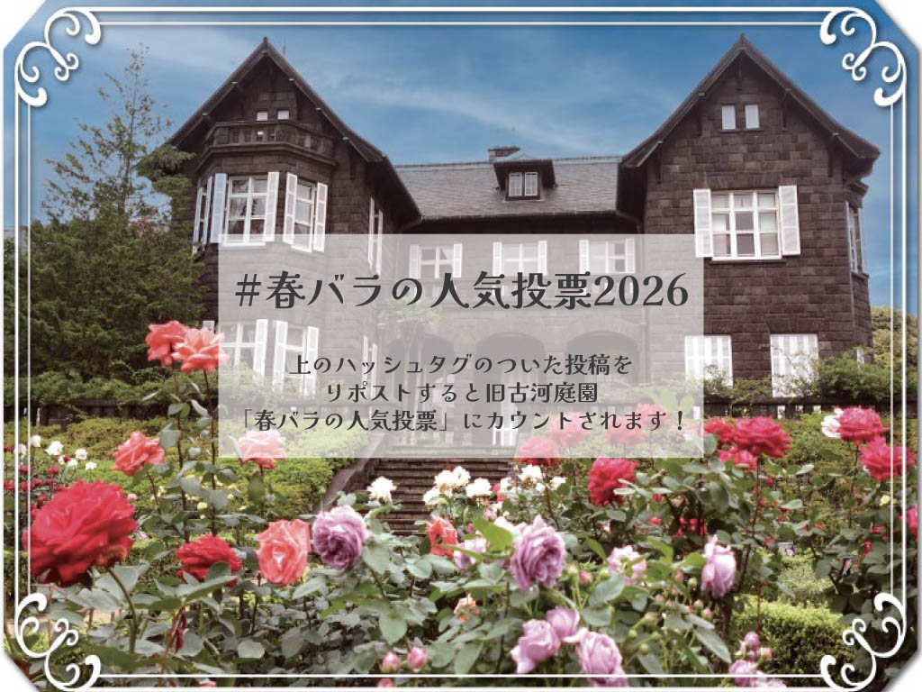 旧古河庭園 tweet media