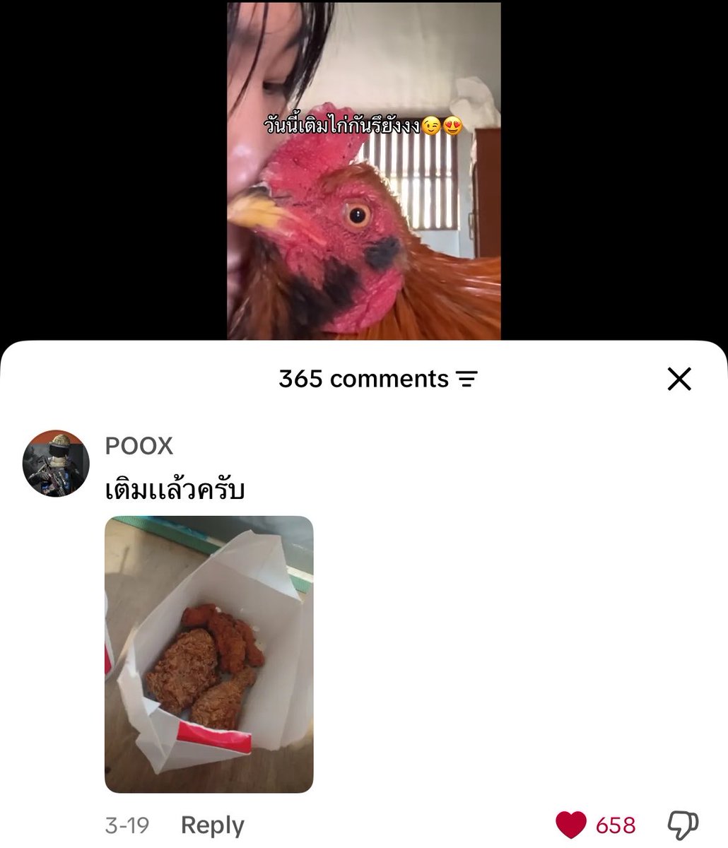 หลวงไก่ tweet media
