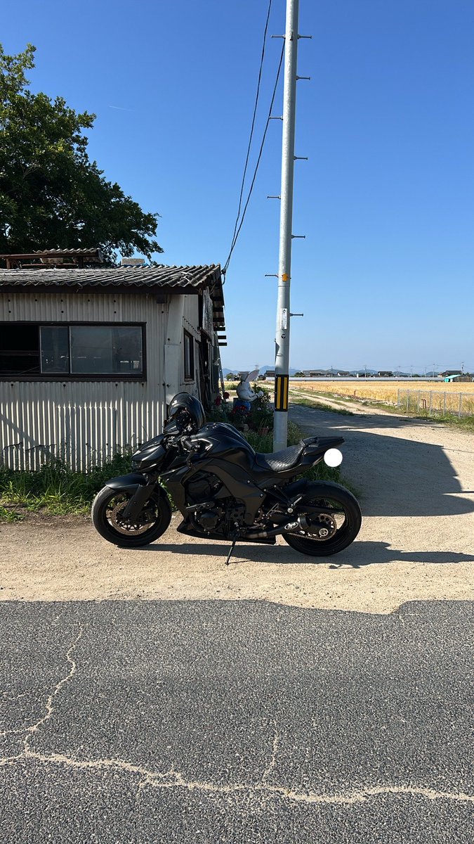 エリ tweet media
