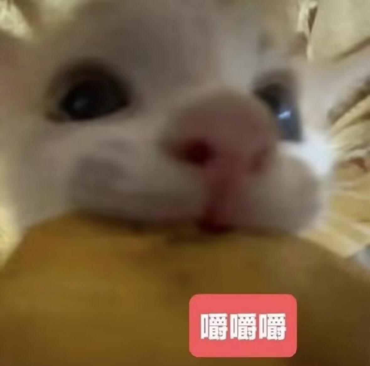 cloudyday64's tweet photo. 我需要有人给我推荐一些可以解馋但是气味不大的小零食！ https://t.co/AJWLjvDTZ2