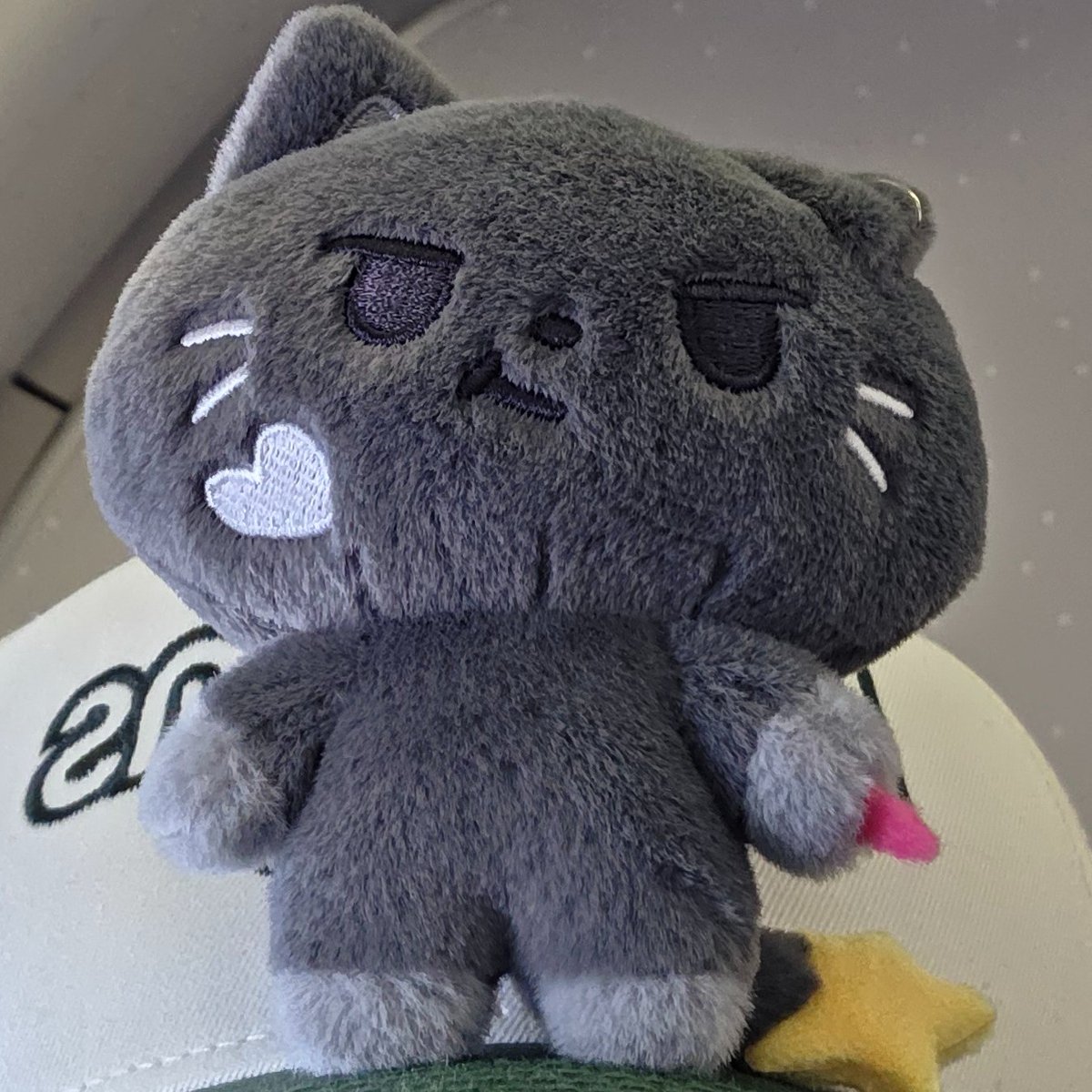 쫑 tweet media