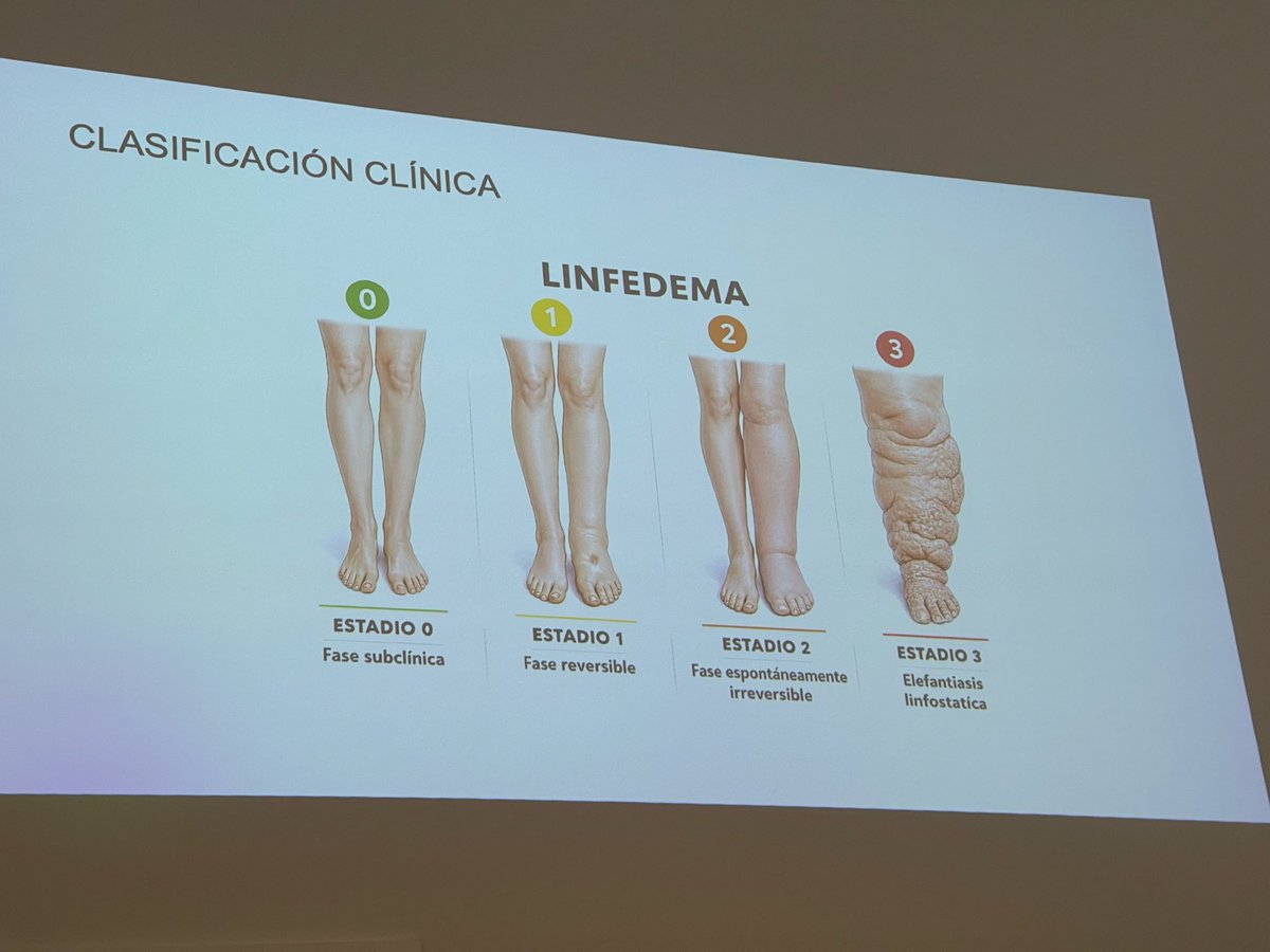 Ana Moyá #SEMERGEN25 tweet media