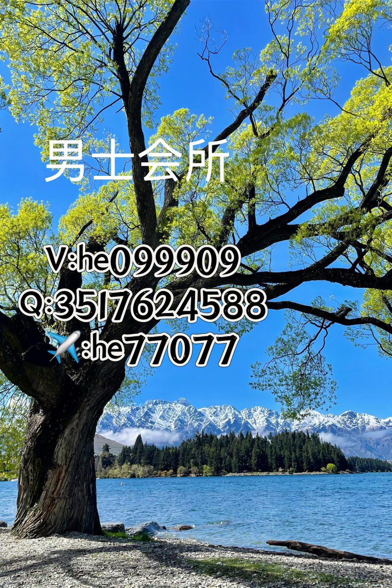 点主页联系 tweet media