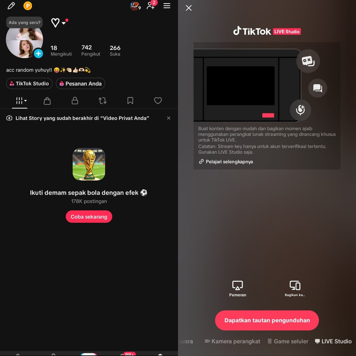 zoelll tweet media