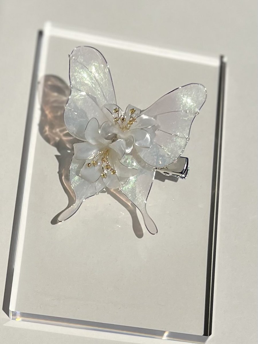 mio papillon@デザフェス63南館4階R－414 tweet media