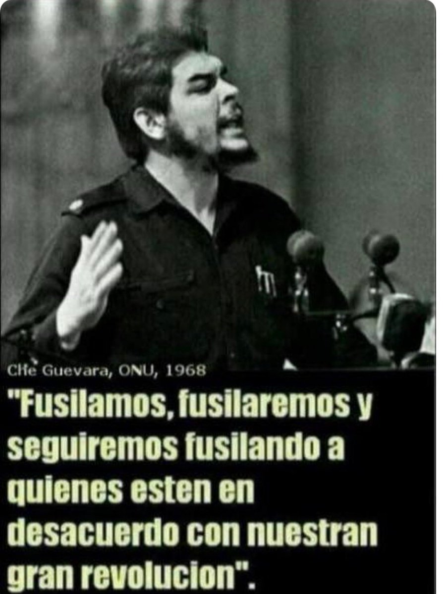 Leo Q An. tweet media