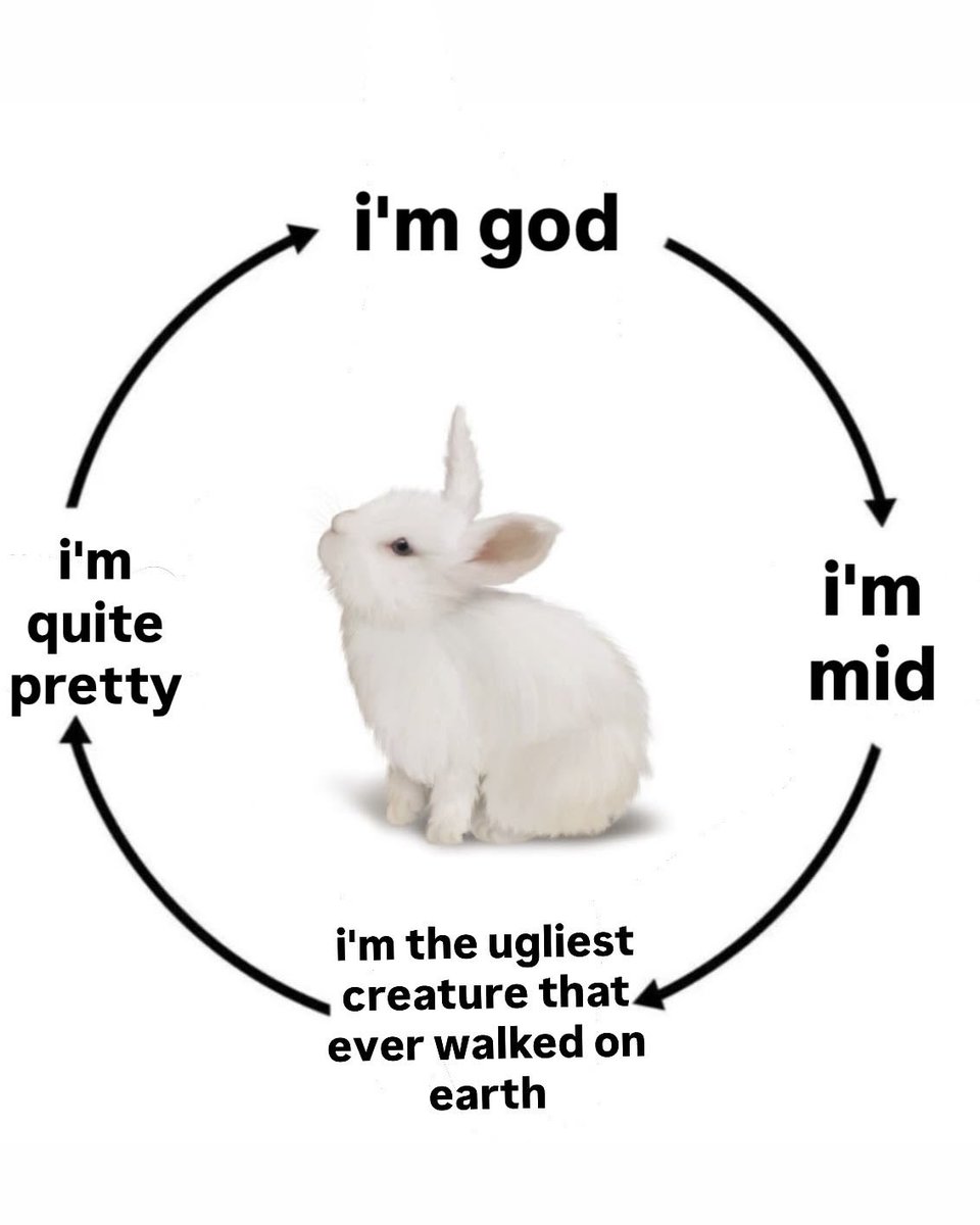 bunny tweet media