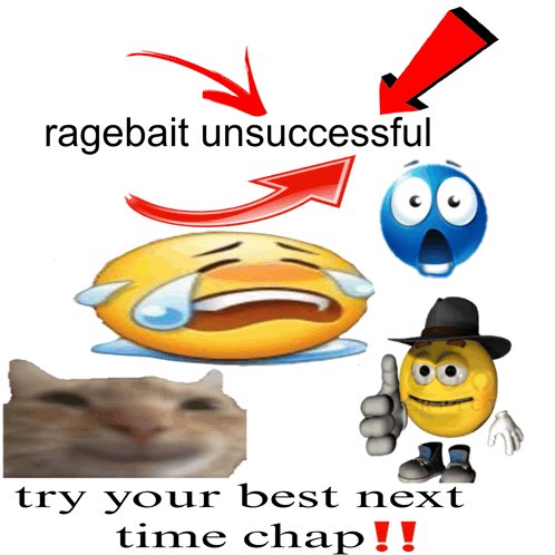 CJKitty/T3H_P15S_C4T tweet media