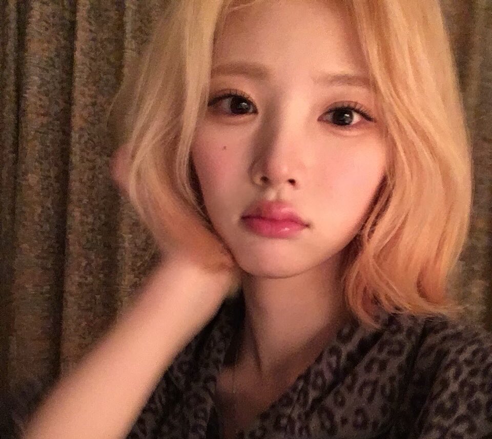 jiwoo tweet media