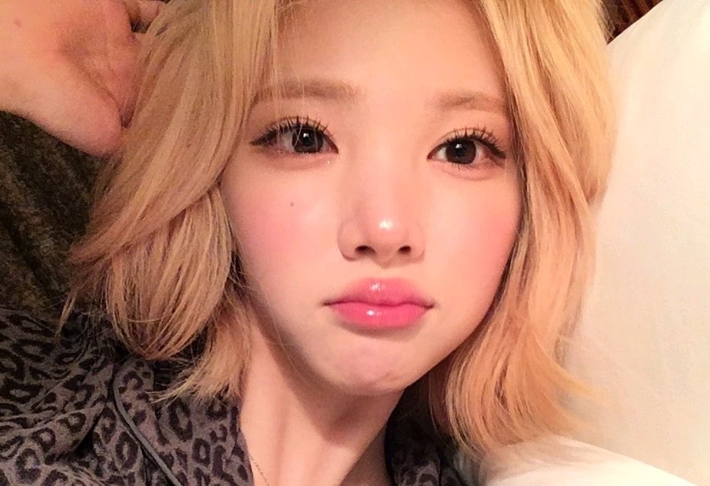 jiwoo tweet media