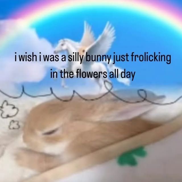 bunny tweet media