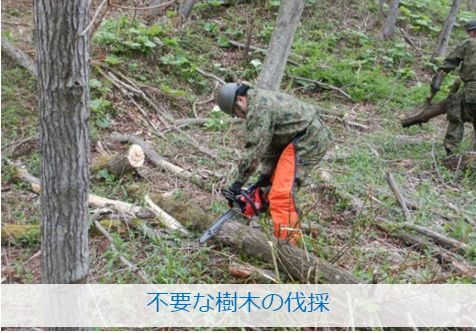 NA_1AAB_PR's tweet photo. #第１０１無人標的機隊は、令和８年５月７日（木）から１５日（金）までの間、演習場定期整備を行いました。使用する資・器材の安全教育を行うとともに、各部隊が訓練目的を達成できるよう演習場内の不要な草木等の伐採を行い、訓練基盤を整えることができました。#１高団 #静内 #無標隊 https://t.co/aUxGbnxwSV