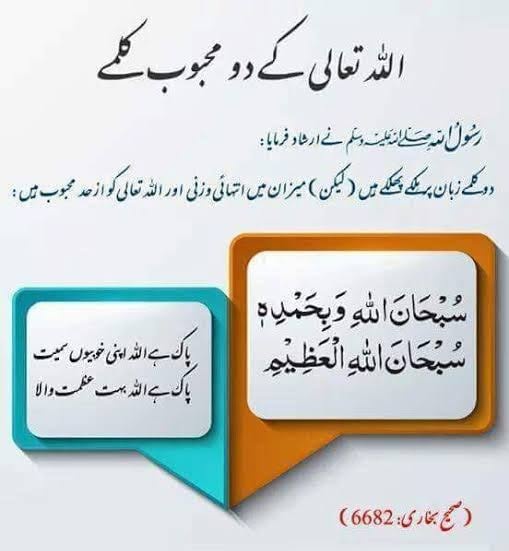 Ans tweet media